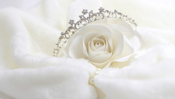 ASP Japan 2025 世界大会出場者への栄養カウンセリングを実施しました